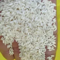 برنج عنبربو با کیفیت عالی و قیمت عمده|خوردنی و آشامیدنی|شوشتر, |دیوار