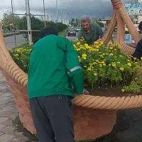 خدمات فضای سبز از صفر تا صد|خدمات باغبانی و درختکاری|بندر انزلی, گلسرخ|دیوار