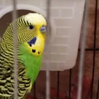 مولد هستن اروم و زیبا