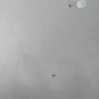 فروش دوطبقه نیمه کاره