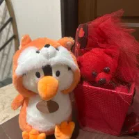 حراج عروسک|اسباب‌‌بازی|زنجان, |دیوار