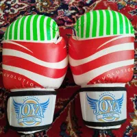 دستکش بوکس joya pro revolution