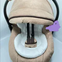 کریر تک اگنس اسکلت دلیجان
