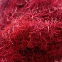 زعفران درجه یک نگین