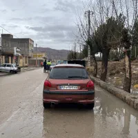 پژو۲۰۶|خودرو سواری و وانت|بجنورد, |دیوار