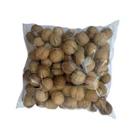 فروش گردو تازه