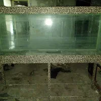 آکواریوم بزرگ|ماهی|بیرجند, |دیوار