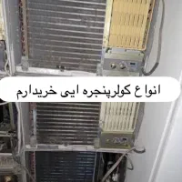 گولر گازایران و قدیمی