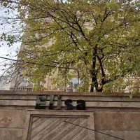 فروش-باغ-بهترین-نقطه-قصرالدشت-خیابان-مهر