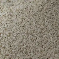 برنج  طارم درجه یک دورود