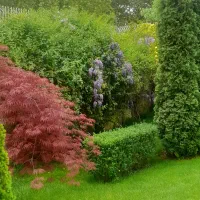 خدمات فنی و نظافت سید|خدمات نظافت|لواسان, |دیوار