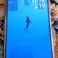 شیامی نوت ۱۲|موبایل|اصفهان, باغ فدک|دیوار