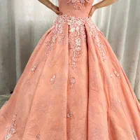 لباس عروس و رنگی|لباس|سبزوار, قصبه غربی|دیوار