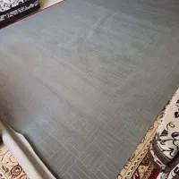 موکت در حدنو