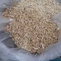 گندم|لوازم جانبی حیوانات|قوچان, |دیوار