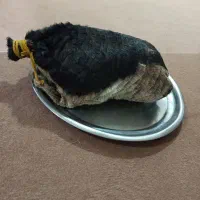 خیگ فروشی|ظروف نگهدارنده، پلاستیکی، یک‌بارمصرف|رامهرمز, |دیوار