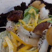 واگذاری حلزون های آچاتینا