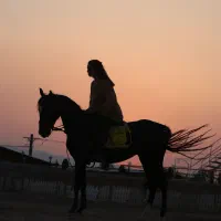 باشگاه سوارکاری فاراسب
