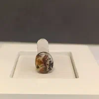 عقیق شجر طبیعی|جواهرات|نیشابور, بنیاد شهید|دیوار