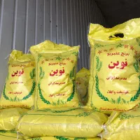 برنج عنبربو نوین به شرط پخت درمیدان میوه و تره بار