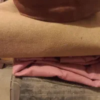 موکت