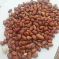 بادام زمینی