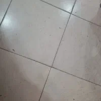 اجاره گلخانه برای نشا کاری