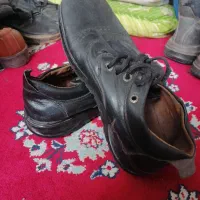 کفش|کیف، کفش، کمربند|بیرجند, |دیوار