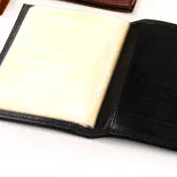 کیف مدارک گمشده به اسم مهدی سلخوری