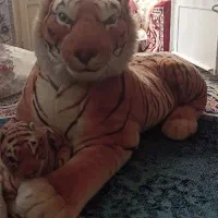 عروسک