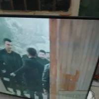 تلویزیون|تلویزیون و پروژکتور|تربتحیدریه, پائین ولایت|دیوار