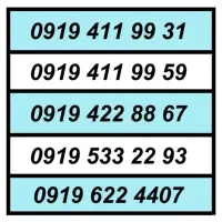 0919.206.1667|سیم‌کارت|تهران, تهرانسر شمالی|دیوار