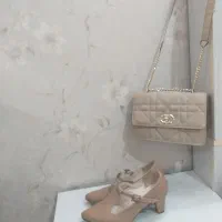 کیف وکفش مجلسی سالم