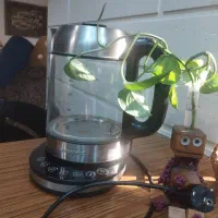 چای‌ساز سر همی گوسونیک