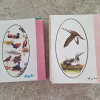 دفتر ۴۰ ۶۰ ۸۰منگنه مکس گیره دوبل کاغذ سوزن ته گرد|لوازم التحریر|مشهد, دانشجو|دیوار