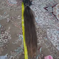 نیازمند ویزیتور مو
