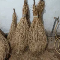 ج.ا.ر.و امسالی و محلی درجه یک|لوازم نظافت|نیشابور, بنیاد شهید|دیوار