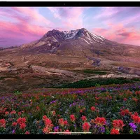 ipad pro m4  حافظه ۲۵۶گیگ بایت|تبلت|مشهد, احمدآباد|دیوار