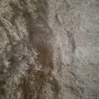 50تن کاه دیم|لوازم جانبی حیوانات|گل تپه, |دیوار