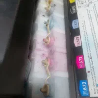 پرینتر رنگی اپسون L805|پرینتر، اسکنر، کپی، فکس|الوند, |دیوار