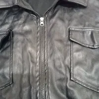 پالتو چرم زنانه زمستانی|لباس|اهواز, نیوساید|دیوار