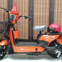 دوچرخه برقی مدرن - با خدمات پس از فروش|دوچرخه، اسکیت، اسکوتر|شیراز, سینما سعدی|دیوار