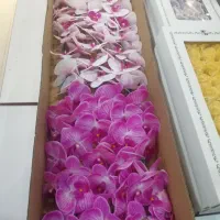 پخش گل و سرگل مصنوعی|گل مصنوعی|مشهد, نکاح|دیوار