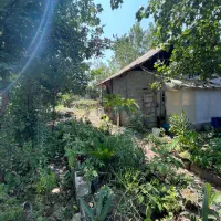 ۵۵۰متر سند تک برگ ۲ دقیقه شهر/رشت به کوچصفهان سنگر|فروش خانه و ویلا|سنگر, |دیوار