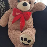 خرس  با نمک