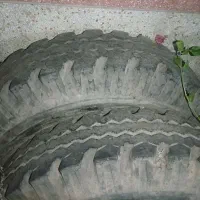 لاستیک ۱۲۲۴