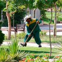 کارگر حرفه ای فضای سبز و باغبانی
