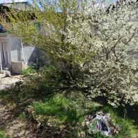 انواع سبزی آماده، آشپزی مجالس