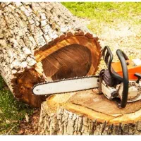 خرید انواع چوب کاملا نقدی پرداخت در محل