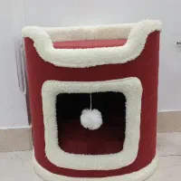 تشک و خونه گربه